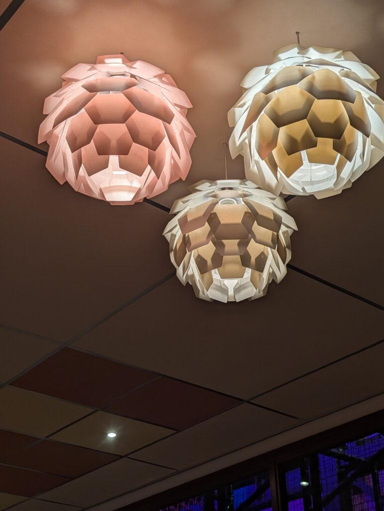 PXL_20251106_181223037.NIGHT_.RAW-01.COVER_-771x1024 Eine kulinarische Weltreise